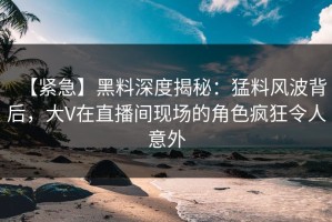 【紧急】黑料深度揭秘：猛料风波背后，大V在直播间现场的角色疯狂令人意外