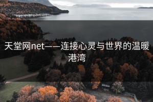 天堂网net——连接心灵与世界的温暖港湾