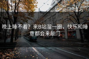 晚上睡不着？来B站溜一圈，快乐和睡意都会来敲门
