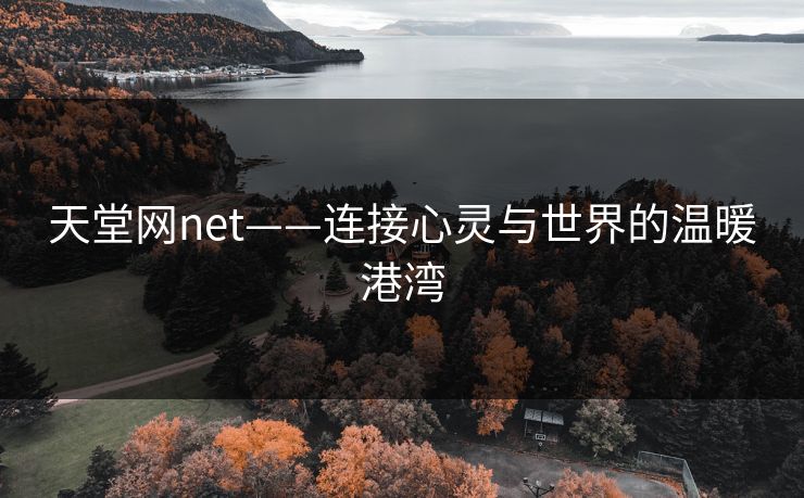 天堂网net——连接心灵与世界的温暖港湾