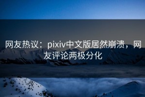 网友热议：pixiv中文版居然崩溃，网友评论两极分化