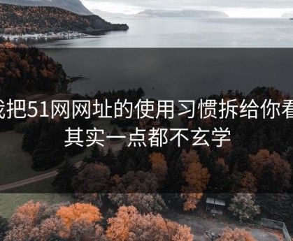 我把51网网址的使用习惯拆给你看：其实一点都不玄学