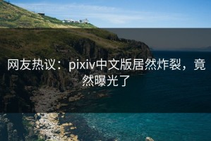 网友热议：pixiv中文版居然炸裂，竟然曝光了