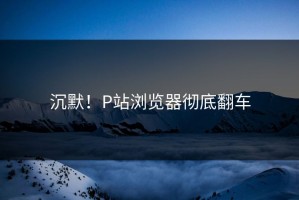 沉默！P站浏览器彻底翻车