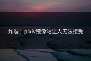 炸裂！pixiv镜像站让人无法接受