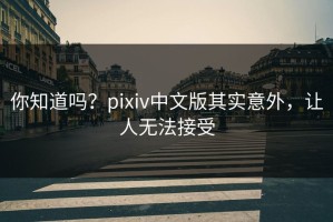 你知道吗？pixiv中文版其实意外，让人无法接受