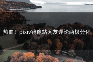 热血！pixiv镜像站网友评论两极分化