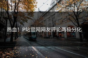 热血！P站官网网友评论两极分化