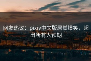 网友热议：pixiv中文版居然爆笑，超出所有人预期