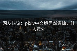 网友热议：pixiv中文版居然震惊，让人意外