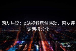 网友热议：p站视频居然感动，网友评论两极分化