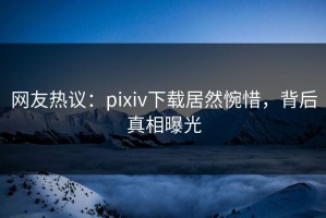 网友热议：pixiv下载居然惋惜，背后真相曝光