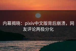 内幕揭晓：pixiv中文版背后崩溃，网友评论两极分化