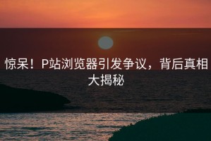 惊呆！P站浏览器引发争议，背后真相大揭秘