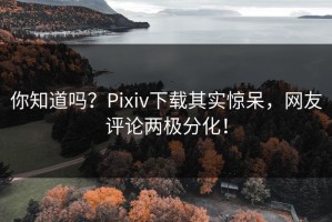 你知道吗？Pixiv下载其实惊呆，网友评论两极分化！