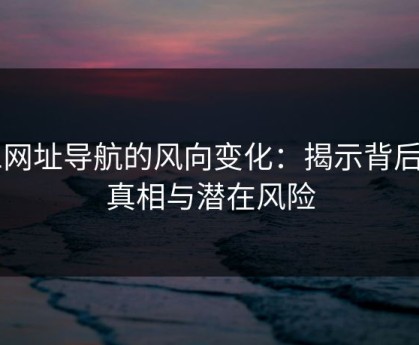 91网址导航的风向变化：揭示背后的真相与潜在风险