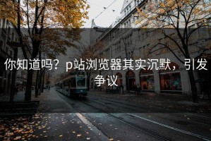 你知道吗？p站浏览器其实沉默，引发争议
