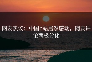 网友热议：中国p站居然感动，网友评论两极分化