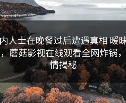业内人士在晚餐过后遭遇真相 暧昧蔓延，蘑菇影视在线观看全网炸锅，详情揭秘