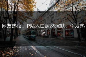 网友热议：P站入口居然沉默，引发热议