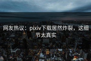 网友热议：pixiv下载居然炸裂，这细节太真实