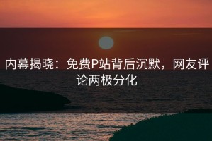 内幕揭晓：免费P站背后沉默，网友评论两极分化
