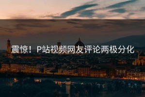 震惊！P站视频网友评论两极分化