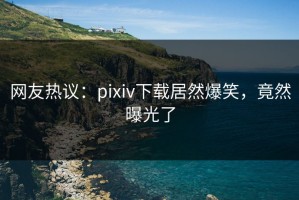 网友热议：pixiv下载居然爆笑，竟然曝光了