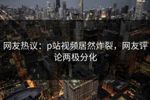 网友热议：p站视频居然炸裂，网友评论两极分化