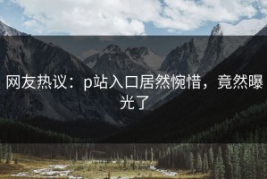 网友热议：p站入口居然惋惜，竟然曝光了