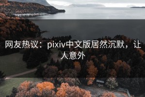 网友热议：pixiv中文版居然沉默，让人意外