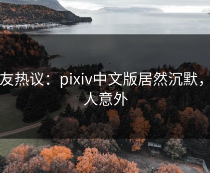 网友热议：pixiv中文版居然沉默，让人意外
