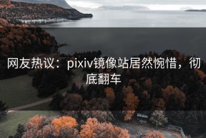 网友热议：pixiv镜像站居然惋惜，彻底翻车