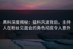 黑料深度揭秘：猛料风波背后，主持人在粉丝见面会的角色彻底令人意外