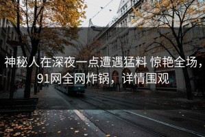 神秘人在深夜一点遭遇猛料 惊艳全场，91网全网炸锅，详情围观