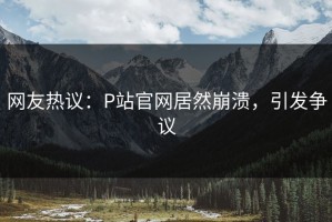 网友热议：P站官网居然崩溃，引发争议
