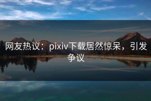 网友热议：pixiv下载居然惊呆，引发争议