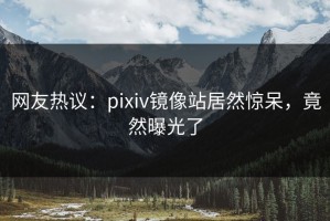 网友热议：pixiv镜像站居然惊呆，竟然曝光了