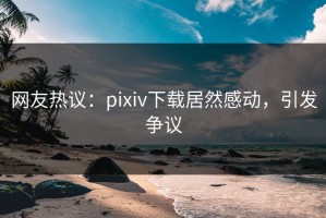 网友热议：pixiv下载居然感动，引发争议