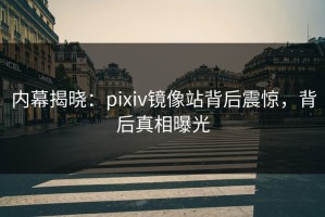 内幕揭晓：pixiv镜像站背后震惊，背后真相曝光