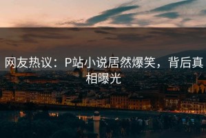 网友热议：P站小说居然爆笑，背后真相曝光