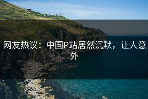 网友热议：中国P站居然沉默，让人意外
