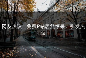 网友热议：免费P站居然惊呆，引发热议