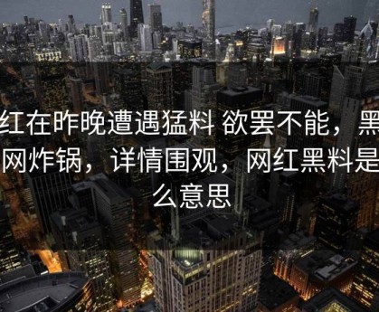 网红在昨晚遭遇猛料 欲罢不能，黑料全网炸锅，详情围观，网红黑料是什么意思