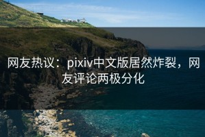网友热议：pixiv中文版居然炸裂，网友评论两极分化