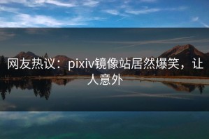 网友热议：pixiv镜像站居然爆笑，让人意外