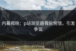 内幕揭晓：p站浏览器背后惋惜，引发争议