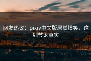 网友热议：pixiv中文版居然爆笑，这细节太真实