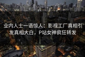 业内人士一语惊人：影视工厂真相引发真相大白，P站女神疯狂转发