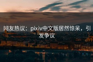 网友热议：pixiv中文版居然惊呆，引发争议